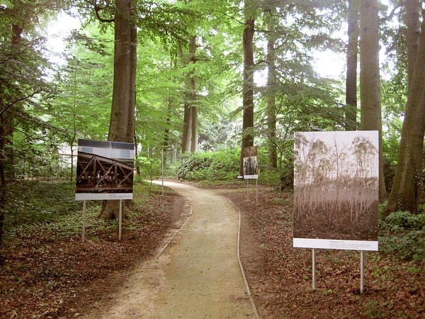 https://art.raoulkramer.net/files/gimgs/th-18_18_2012813rhak6243.jpg